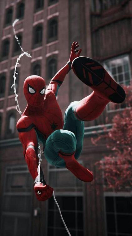 Spider Man Spider Man wallpaper 73 - free HD download