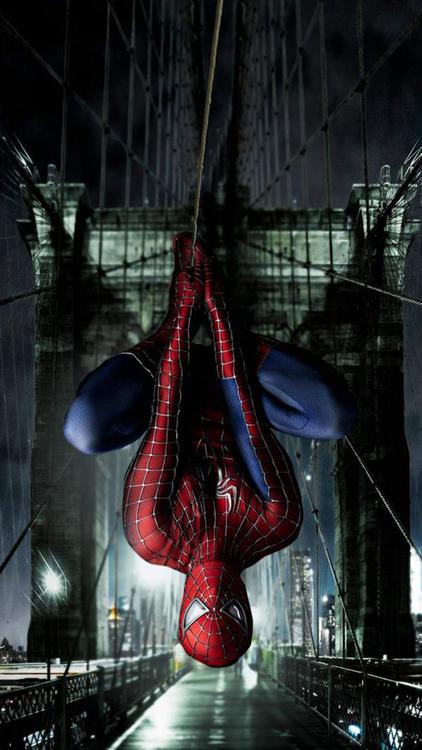 Spider Man Spider Man wallpaper 56 - free HD download