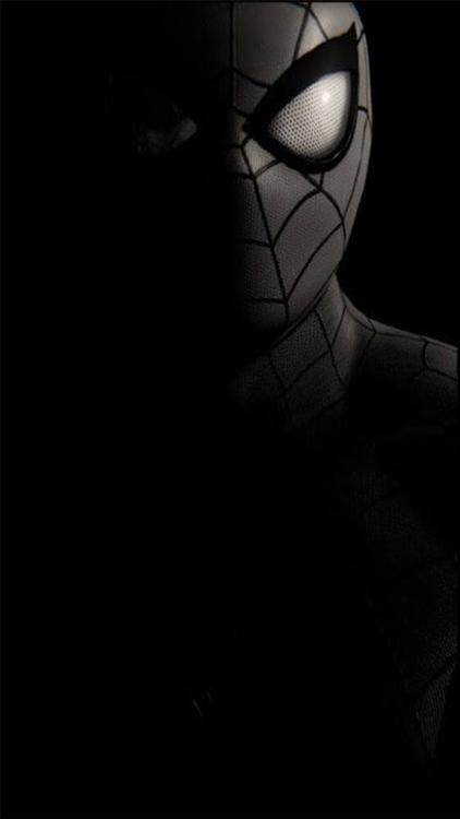 Spider Man Spider Man wallpaper 41 - free HD download