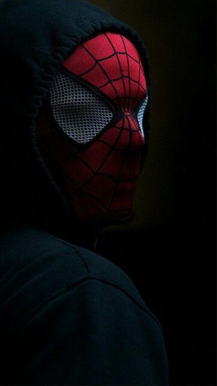Spider Man Spider Man wallpaper 59 - free HD download