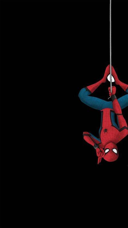 Spider Man Spider Man wallpaper 49 - free HD download